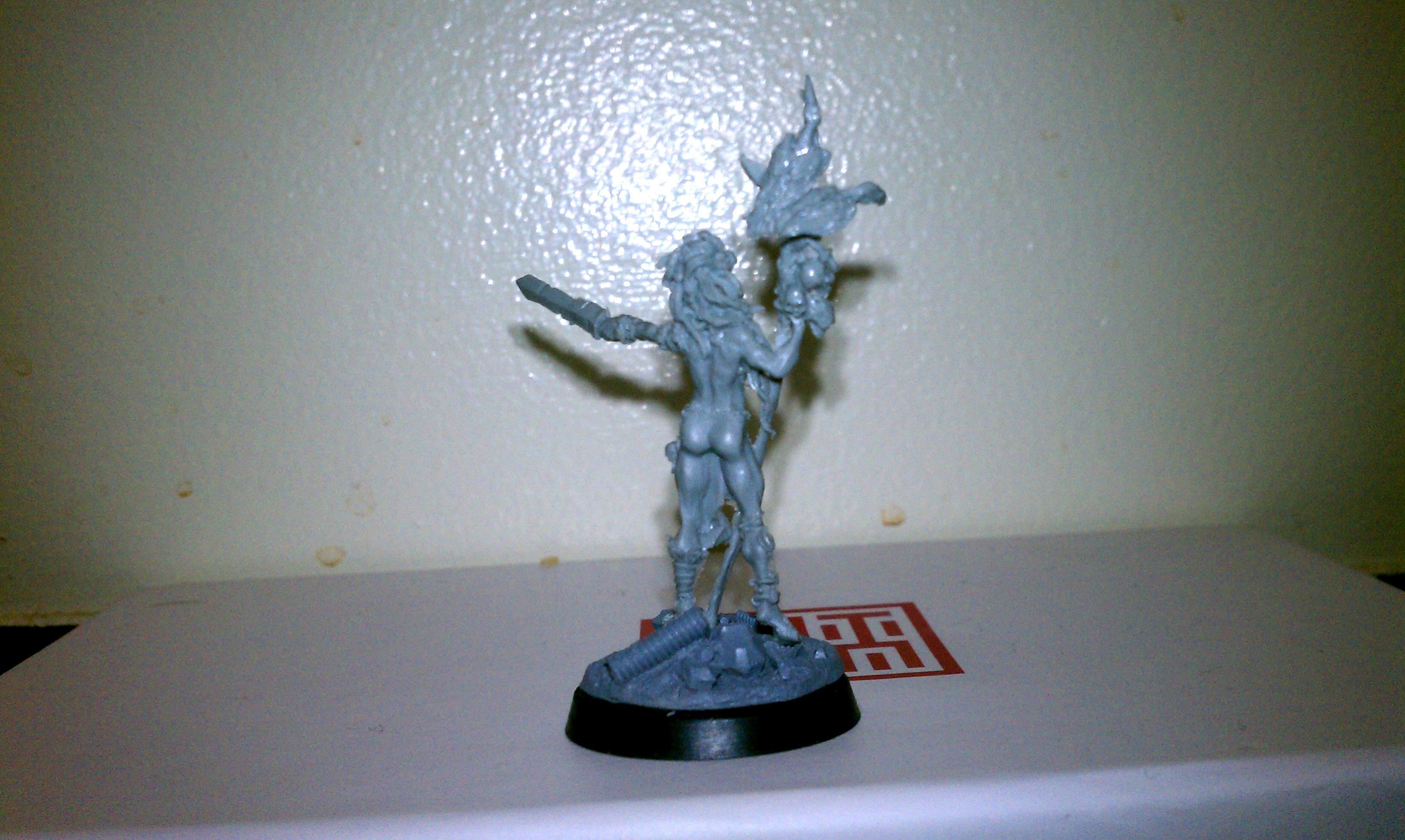Dark Eldar, Eldar, Exodites, Fluff, Nsfw The Mad Witch Gallery